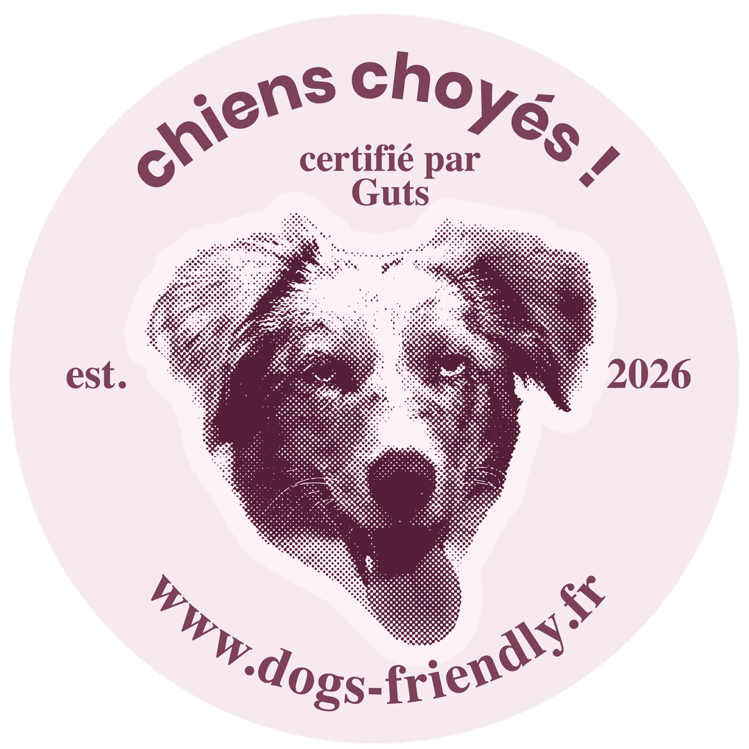 Sticker Dogs Friendly - Guts - Chiens Choyés