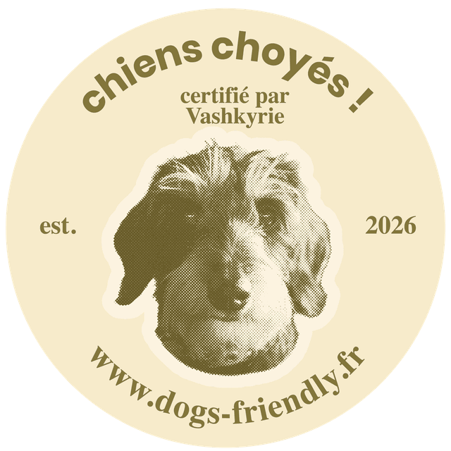 Sticker Dogs Friendly - Vashkyrie - Chiens Choyés